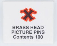 X Brass Head Pins (100)