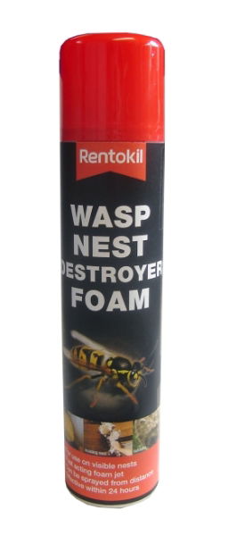 Wasp nest Destroyer Foam