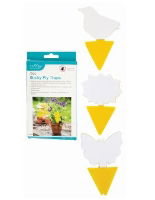 ASHLEY 10pc Sticky Fly Traps