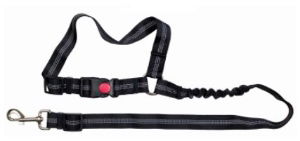 ASHLEY Headrest Pet Seat Belt